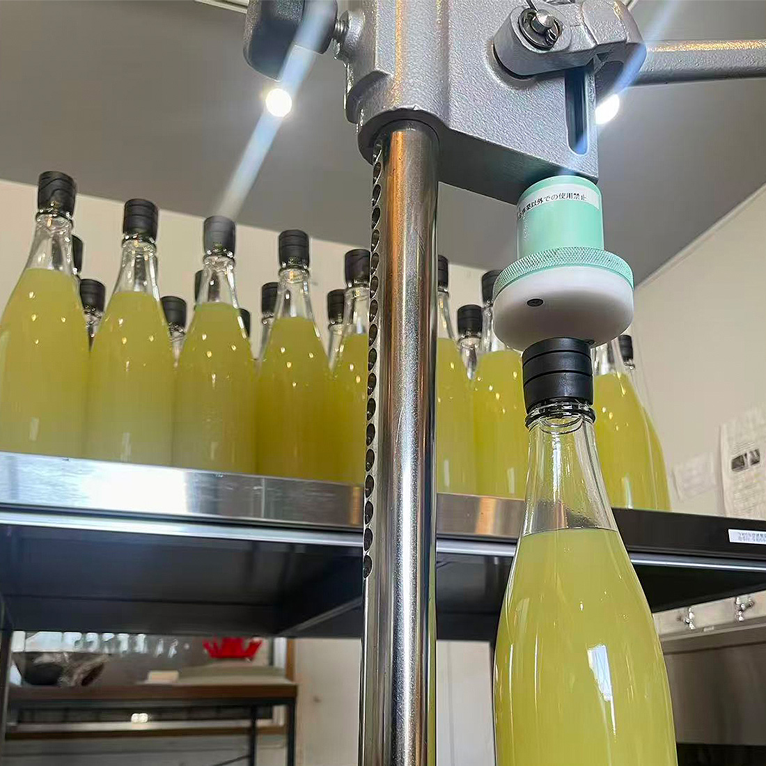 #178 深海の秘宝 (Geheimnis am Riff)/ラベンスバーガー/コマ、カード、揃　日本語説明書付き。　ボードゲーム　 フィリピンの国民的バンド、Lola Amourの新曲に小波津志（PSYCHIC