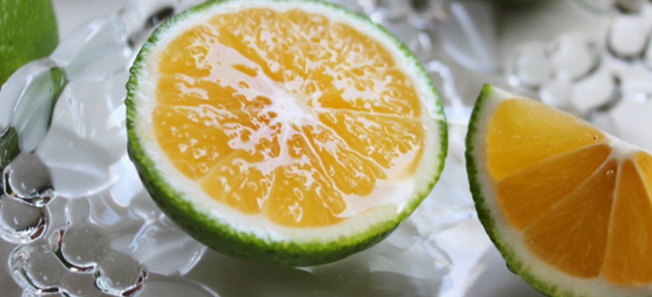 かぼす搾り 720ml | 浪乃音酒造